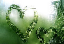 jiuyou app-包含罗马关键时刻刷新队史纪录，志在葡超名次提升，更衣室稳定，团队化学反应显著的词条-jiuyou app